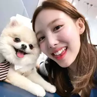 袁纪颖